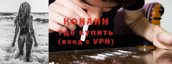 прущие грибы Горняк