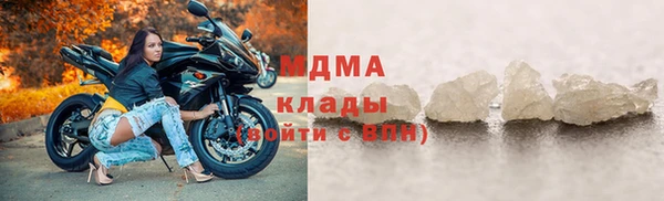 прущие грибы Горняк
