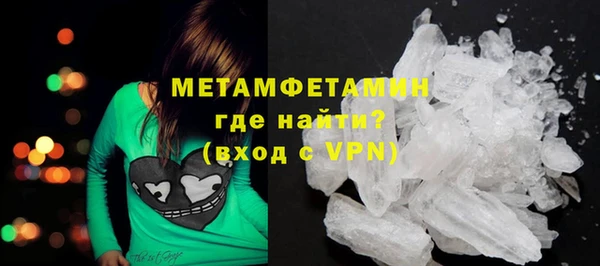 прущие грибы Горняк