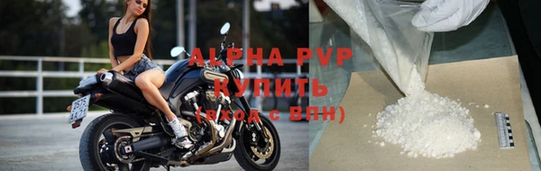 прущие грибы Горняк