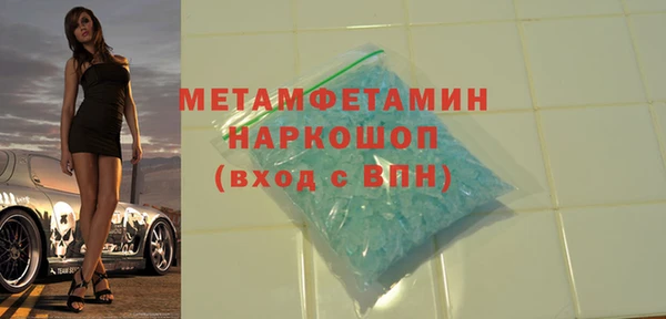 прущие грибы Горняк