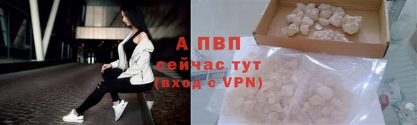 прущие грибы Горняк