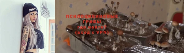прущие грибы Горняк