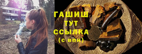 гашик Инта
