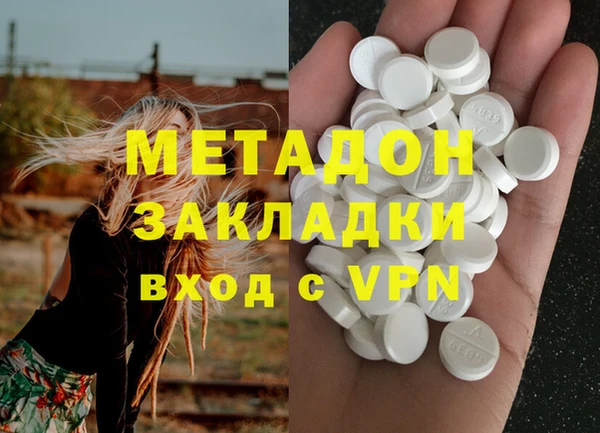 прущие грибы Горняк