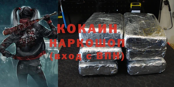 прущие грибы Горняк