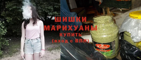 прущие грибы Горняк