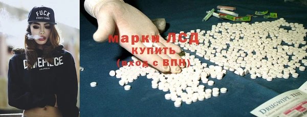 ПСИЛОЦИБИНОВЫЕ ГРИБЫ Каменка