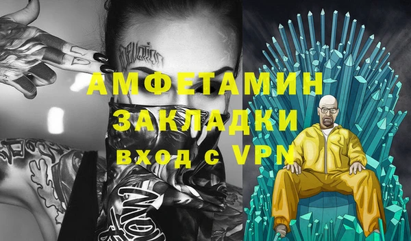 прущие грибы Горняк