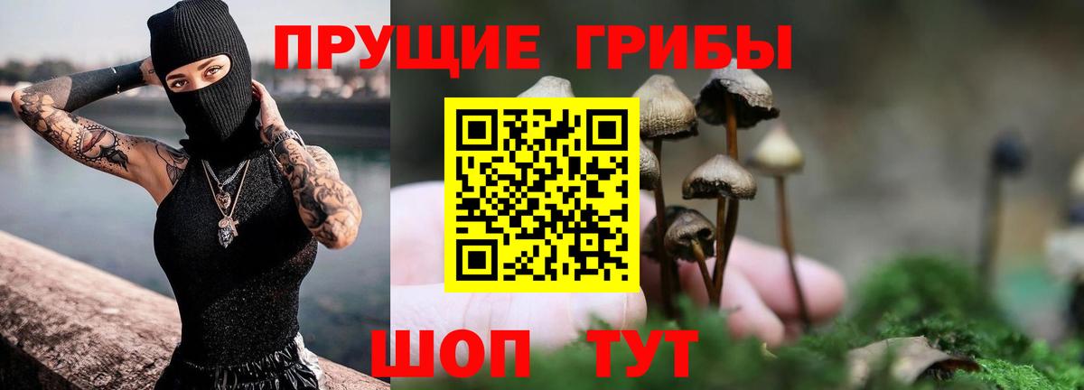 Псилоцибиновые грибы Cubensis  купить закладку  Качканар  Вход с VPN 