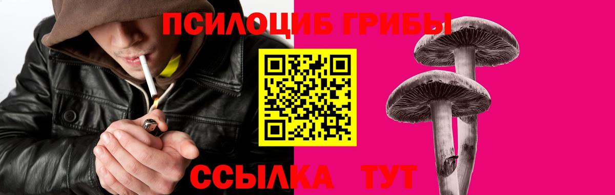 Псилоцибиновые грибы Psilocybine cubensis Качканар