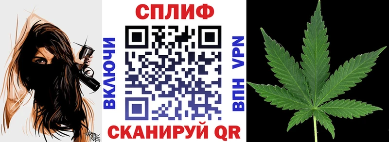 что такое   Качканар  Бошки Шишки гибрид 
